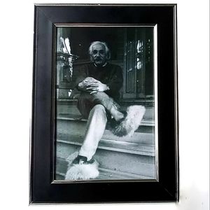 VINTAGE Albert Einstein scientist fuzzy slippers frame photo print art home deco